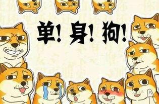 隐形式单身娱乐吃瓜酱,揭秘吃瓜酱背后的单身生活趣味  第2张
