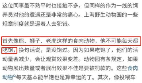 悉尼员工爆料事件视频,揭露职场黑暗面  第2张