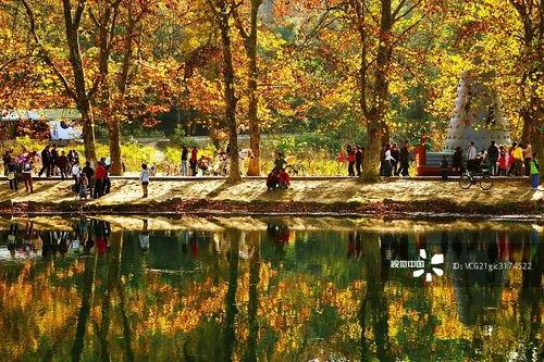花溪花果园爆料事件视频,视频揭露惊人真相  第3张 花溪花果园爆料事件视频,视频揭露惊人真相  第3张