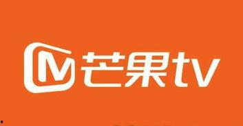 广东tv爆料今日关注,今日关注热点事件深度解析  第3张 广东tv爆料今日关注,今日关注热点事件深度解析  第3张