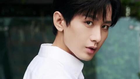 成毅单身爆料视频是真的吗,真相揭秘还是网络谣言?  第3张 成毅单身爆料视频是真的吗,真相揭秘还是网络谣言?  第3张