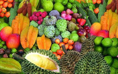 海南水果市场爆料视频最新,新鲜热带水果盛宴来袭!  第2张 海南水果市场爆料视频最新,新鲜热带水果盛宴来袭!  第2张