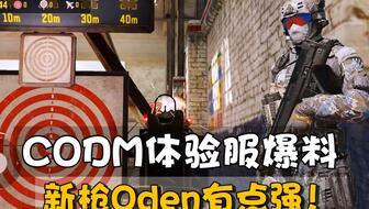 codm体验服最新爆料,神秘武器登场,战场格局再起风云  第2张 codm体验服最新爆料,神秘武器登场,战场格局再起风云  第2张