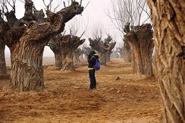 西安湿地公园爆料视频,自然美景引网友热议  第2张 西安湿地公园爆料视频,自然美景引网友热议  第2张