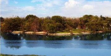 西安湿地公园爆料视频,自然美景引网友热议  第3张 西安湿地公园爆料视频,自然美景引网友热议  第3张