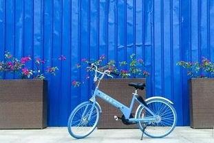 小鸣单车最新爆料  第2张 小鸣单车最新爆料  第2张